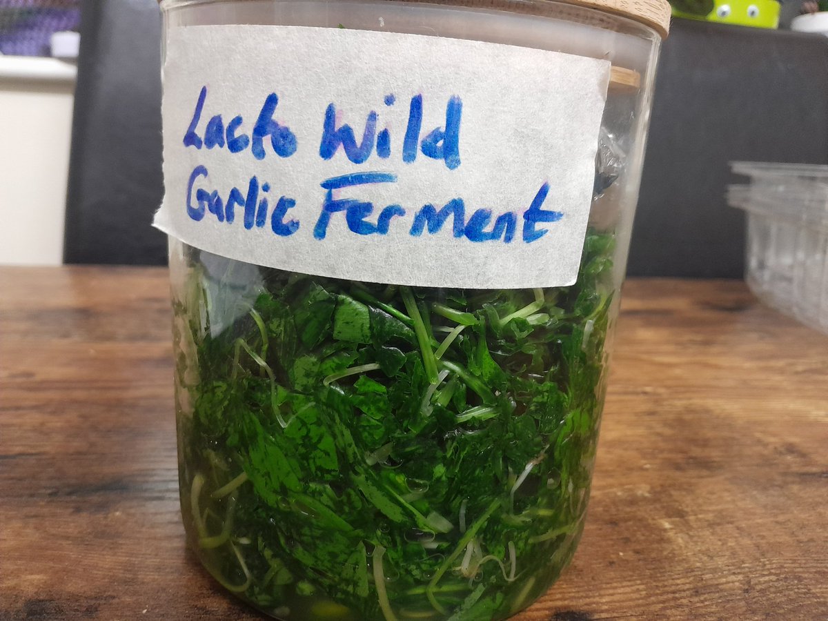 Game Changer. Preserve wild Garlic for up to TWO FUCKING YEARS EXPLANATION MARK! plus look after your gut health in the same stroke... it already tastes sooooo good!!!