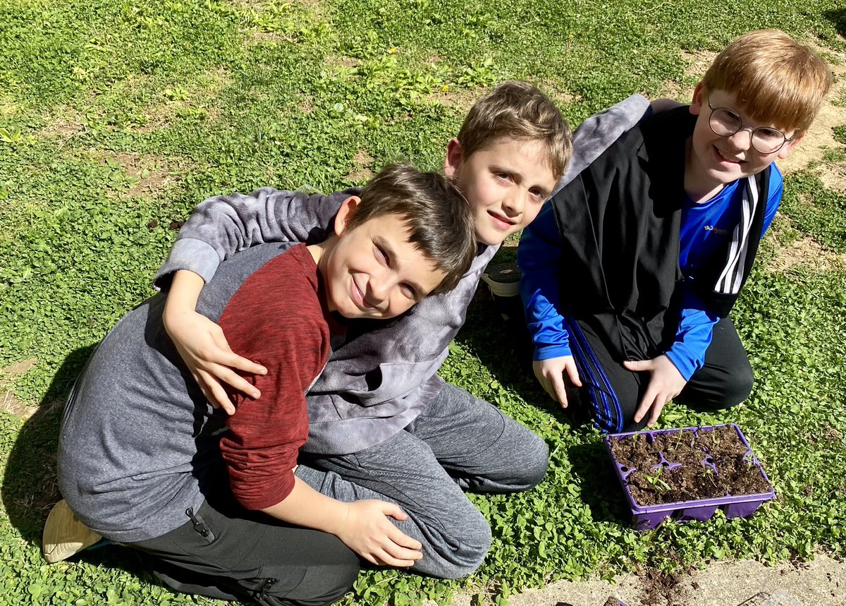 LindsayKoebbe's tweet photo. Transplanting our butterfly weed into larger containers. Proud to cultivate such beautiful plants for the MES gardens and monarchs! Thanks, Dr. Shultz, for your support! #MurraySchools #morethanagarden #morethanadegree https://t.co/5bTHwF0DMw