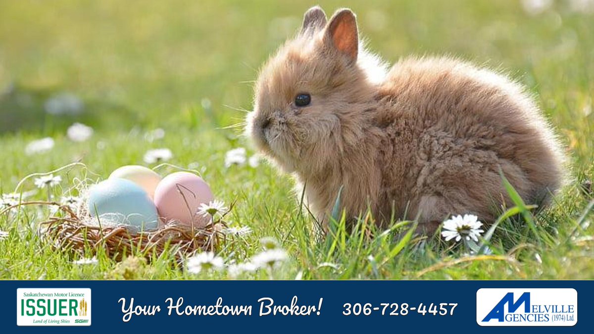 We will be closed Good Friday, March 29 &amp; Saturday, March 30. Visit our website melvilleagencies.com to renew your plates, access MySGI and request other info while we are closed. Happy Easter to the best clients in Saskatchewan and beyond! #HappyEASTER #ALLCAPS📷