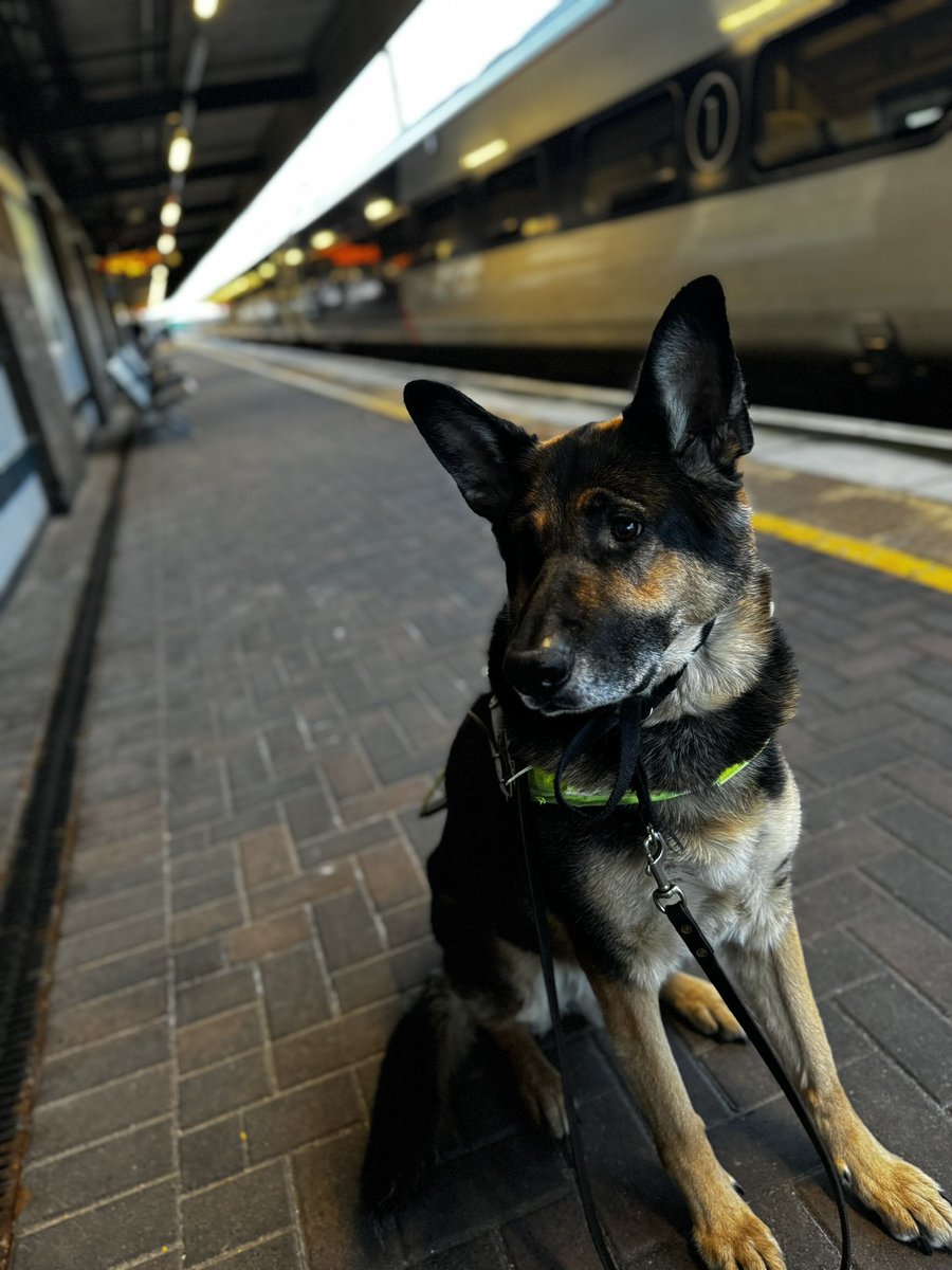 Martin Ralfe - Blind & Tech Pro👨🏻🦯 💻 tweet media