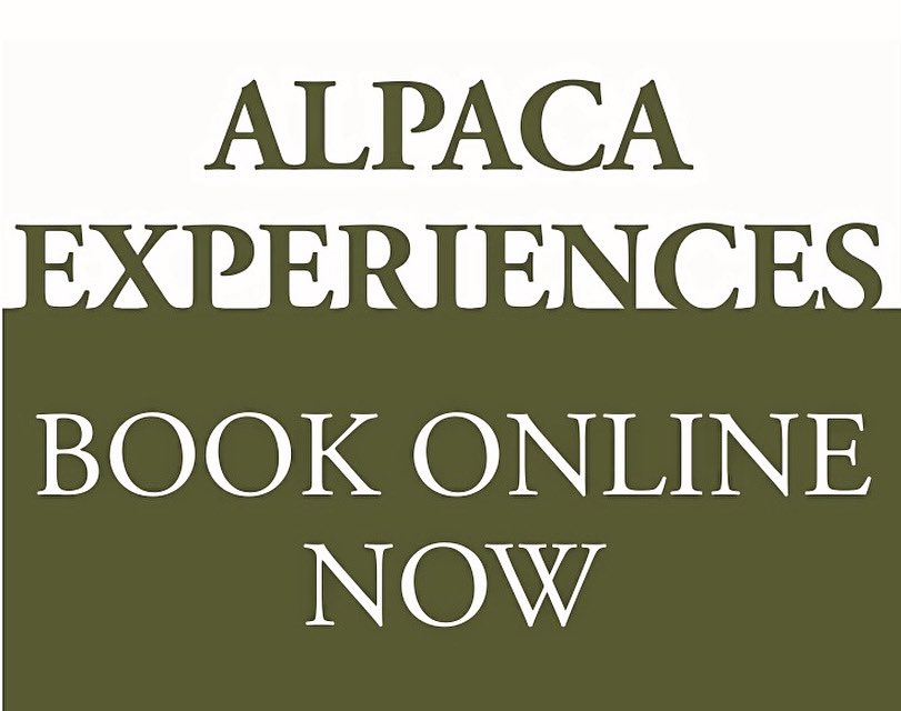 BotanyFarm's tweet image. Exciting news!
check out the new website botanybayalpacas.co.uk