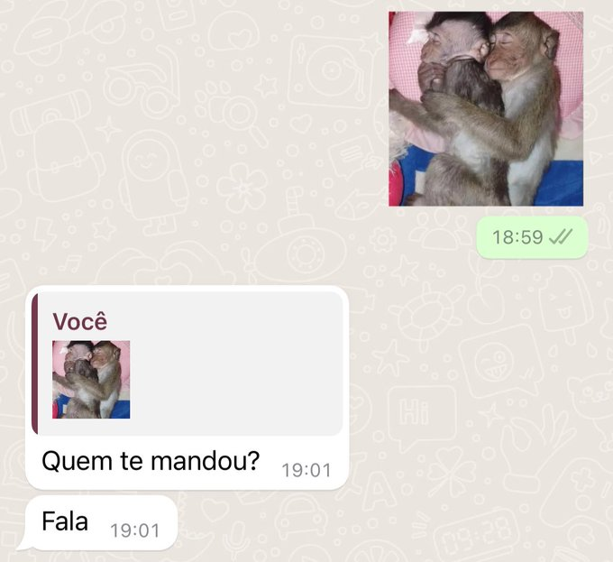 monkprofit_'s tweet photo. eita... https://t.co/Q1tcSLfCXB