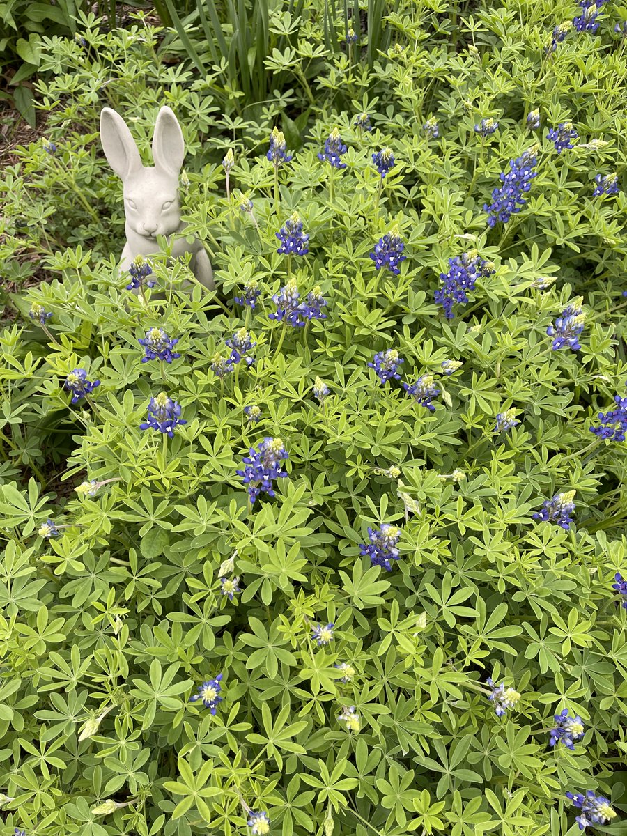 Kathy Seybert tweet media