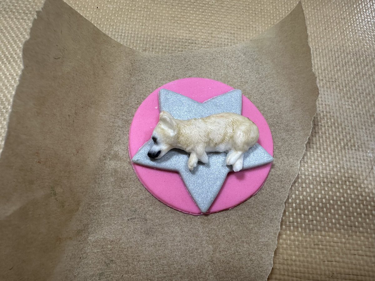 Day2dayRae's tweet image. Not that anyone asked for a sneak peak…but…. I have Amber’s ballet flats that put in some work lol with some earrings and hopefully I did Twinkie some justice. #gorlworld #amberlynnreid #fondant #cupcakes