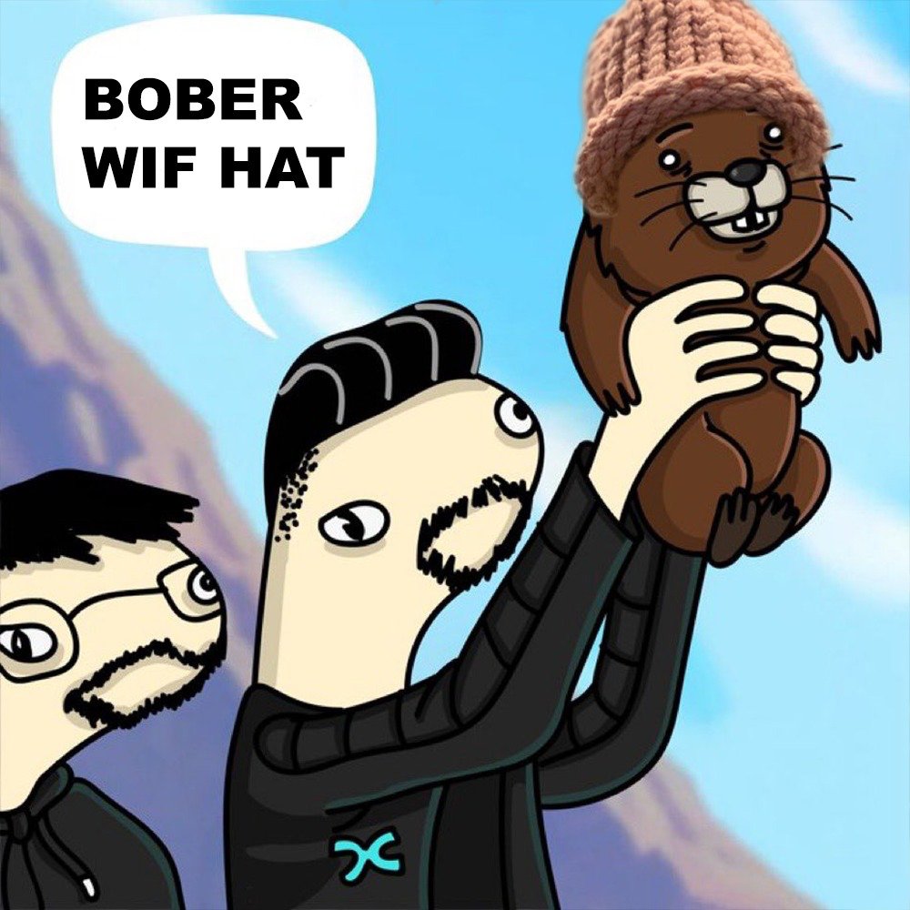BoberWifHat $BWIF tweet media