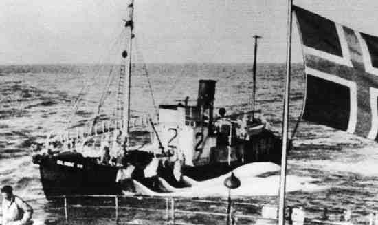 Requisitioned (ex HNoMS Maaløy 12.06.42) minesweeping whaler HMT Maaløy (J 136) T/Lt. Frederick James Perkins, RNVR: Lost 27.03.44.
Torpedoed & sunk off Ceylon in position 05º25'N 77º32'E by U-510 (Kptlt. Alfred Eick), All 24 crew & 2 passengers were sadly lost.