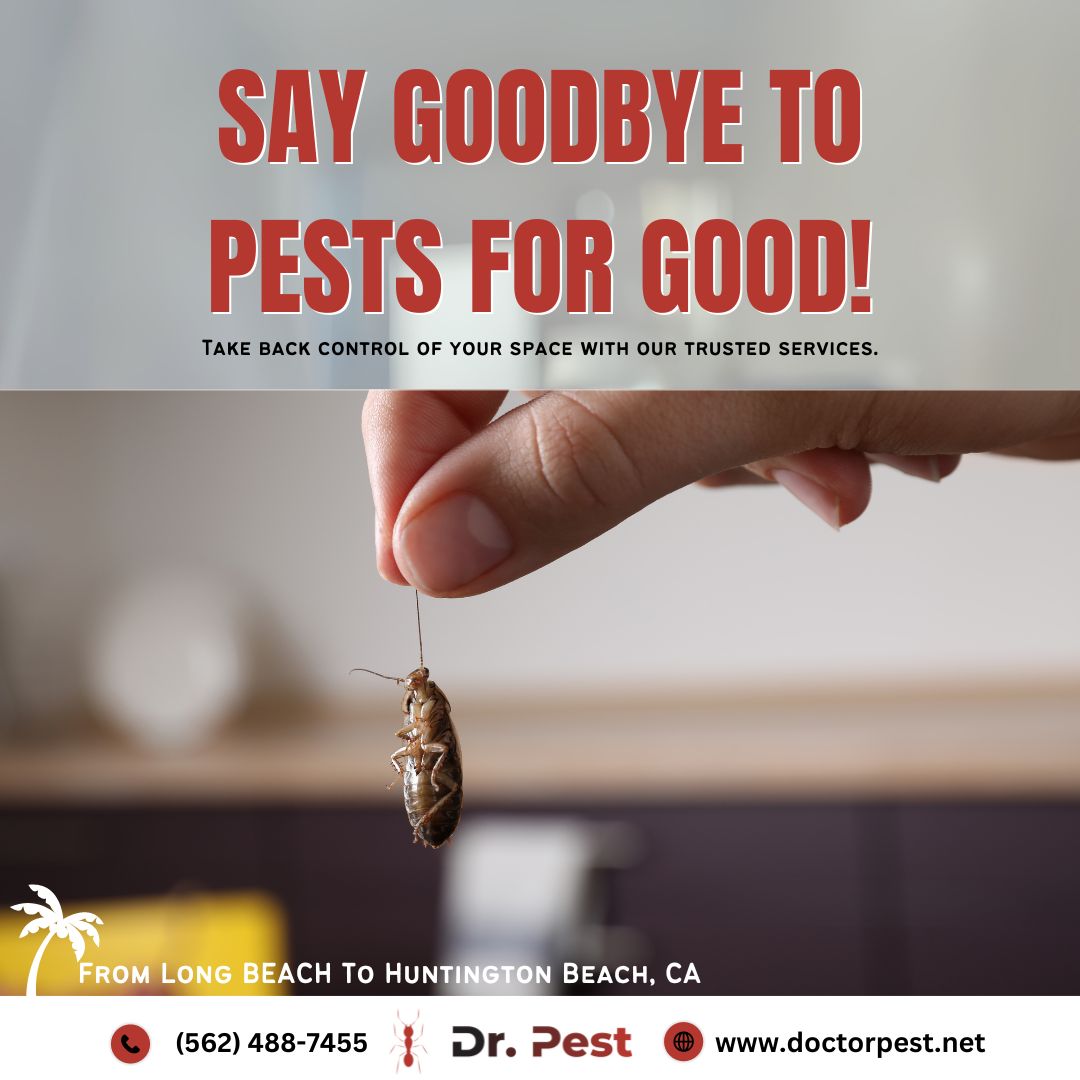 itsdoctorpest's tweet image. Don&apos;t let pests ruin your peace of mind. Trust Dr. Pest for effective and reliable control solutions.

#DrPest #PestControlService #TermiteControlService #RodentControlService