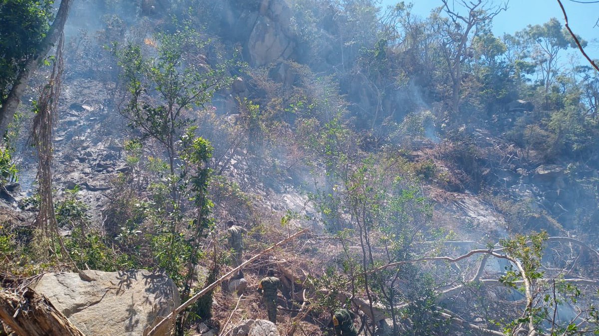 PROTECCIÓN CIVIL. | Esta tarde personal de PC municipal en coordinación con elementos de SEDENA, SEMAR, CONAFOR y PC estatal han logrado la contención de un incendio en zona forestal que se presentó en zona forestal de la ciudad en la parte alta de la col. Jardín.