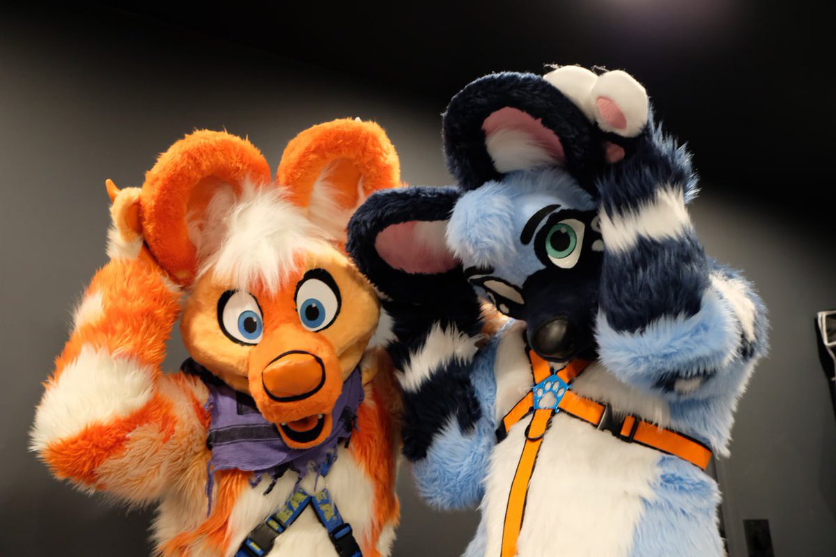 Shhhh, we’re trying to tune-in to this week’s #WildDogWednesday meeting 🤫 If you can’t hear it you’re not invited 🐶: @Spikeo_O 🧵: @AlphaDogsStudio