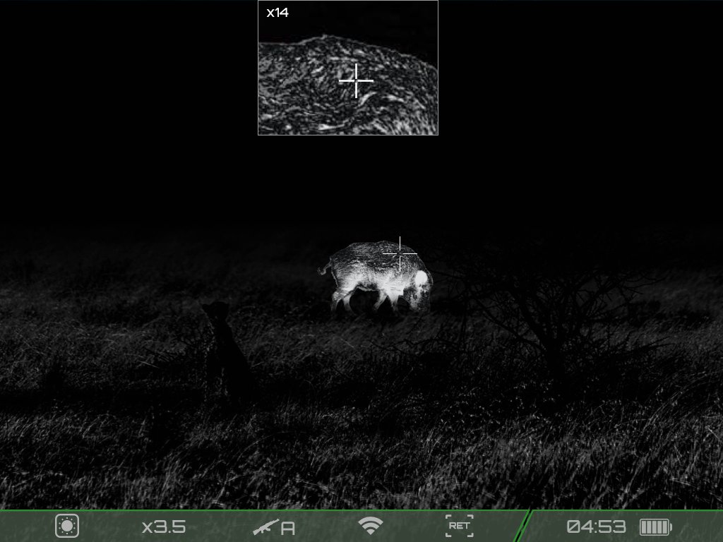 RixrixNV's tweet image. Can you count the hair on a hog's back with your thermal? If not check out Rix Optics!

rixoptics.com