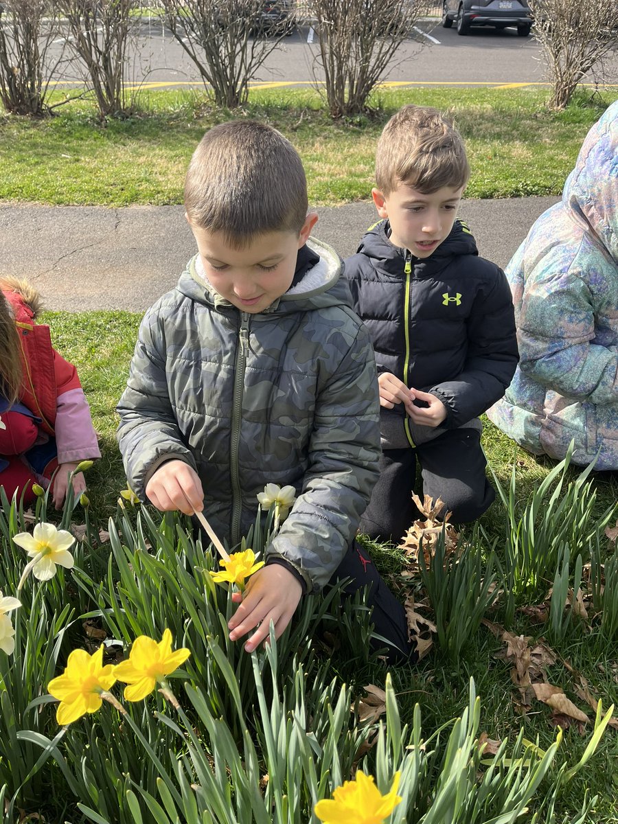 We did our part to pollinate the flowers of school with a little help from our bee friends 🐝