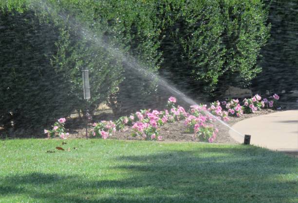 LlcIrrigation's tweet photo. How do you ensure that your irrigation system is watering your lawn efficiently? https://t.co/RIfSCEbfQ7