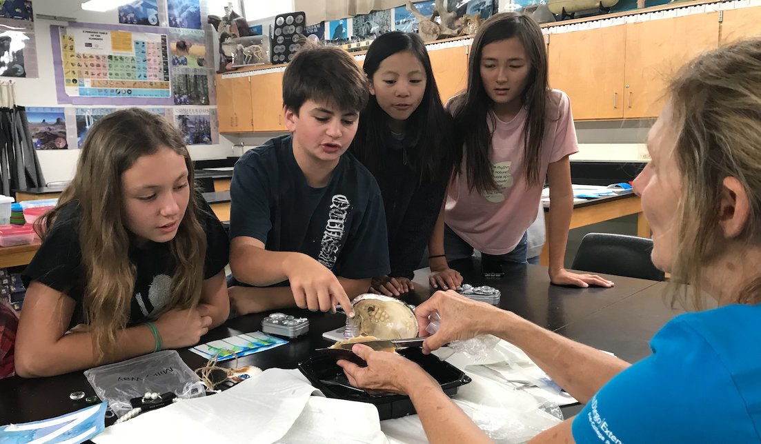 Registration is open for the spring quarter of #free Sally Ride Science workshops in @SDPublicLibrary branches. Offerings include 'Slimy Sea Creatures' for grades 3-5, coming to City Heights/Weingart Library April 15 through #LibraryNExT @UCSDExtStudies. sandiego.gov/librarynext