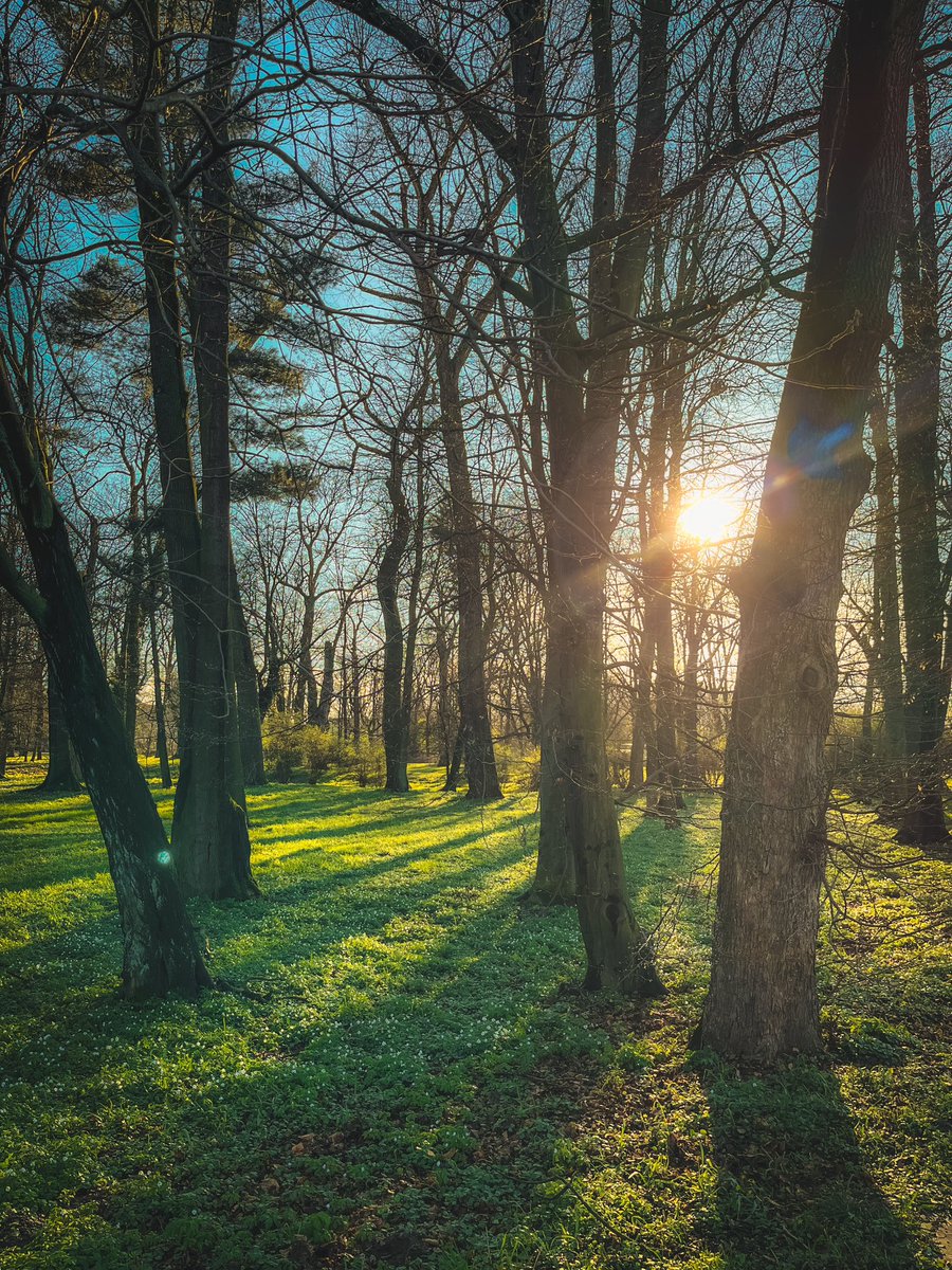 OneStepForward7's tweet image. Ależ ja lubię to zdjęcie 😉 czyżby szykowała nam się w końcu piękna, słoneczna pogoda? I to jeszcze na weekend? Can’t believe it!