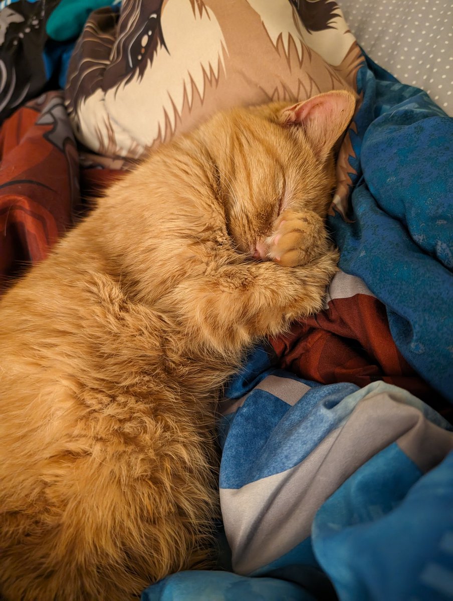 gomfy,, who wamt to join me???