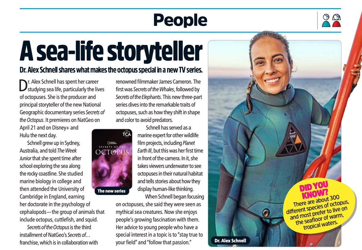 Thanks to marine biologist &amp; filmmaker <a href="/Dr_AlexSchnell/">Dr Alex Schnell</a> for chatting to The Week Junior about all things octopus! We know kids will be excited to read our interview—and watch her new documentary series, Secrets of the Octopus, when it premieres on <a href="/NatGeo/">National Geographic</a> on April 21! 🐙📺