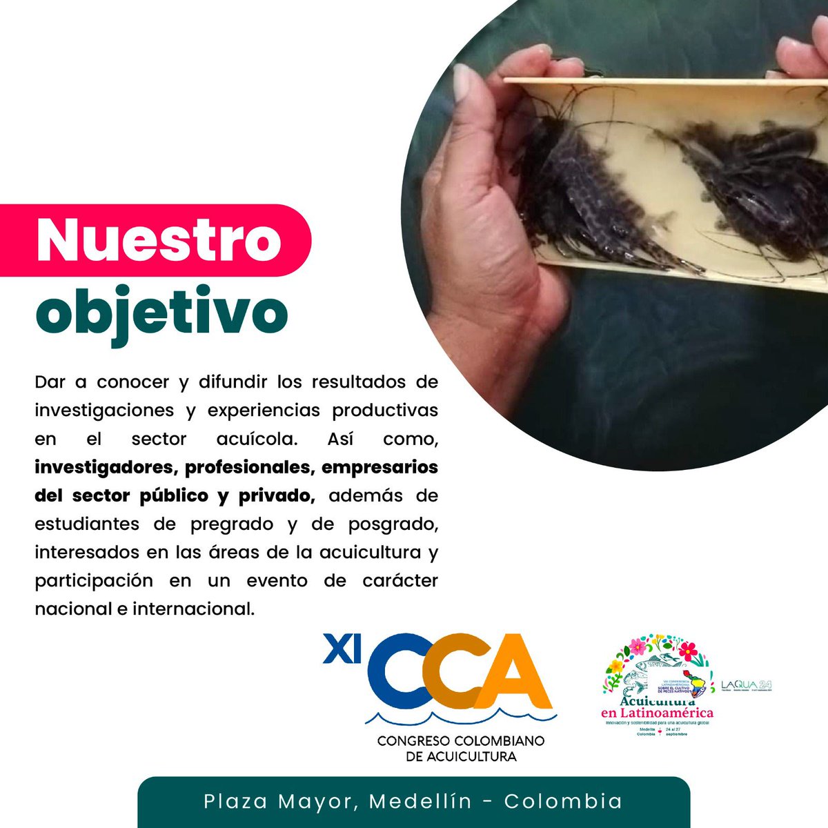 El evento Acuicultura en Latinoamérica es la unión de tres grandes eventos. Conócelos y no olvides enviar tu resúmen y aprovechar los descuento de registro temprano. Más información: carolina@was.org  24 al 27 de Septiembre, 2024 en Plaza Mayor

 lnkd.in/eihefFjK