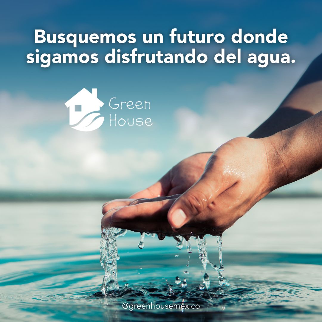 _GreenHouseMx's tweet photo. Cada gota cuenta en la búsqueda de un futuro donde el agua sea un regalo para todos. ¿Estás dispuesto a ser parte del cambio? 💧💧

#GreenHouse #CuidemosElAgua #CadaGotaCuenta #ImpactoAmbiental #FuturoSostenible https://t.co/XIB6XF2BeZ