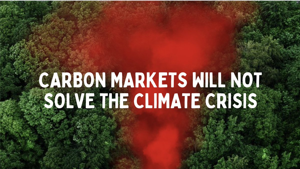 Six months after the 2023 @AfClimateSummit, the 2024 Kenya #CarbonMarkets Conference once again intends to boost Africa's carbon markets – a false climate solution with devastating social & environmental impacts opening the continent to #CarbonColonialism.  ➡️Learn more:…