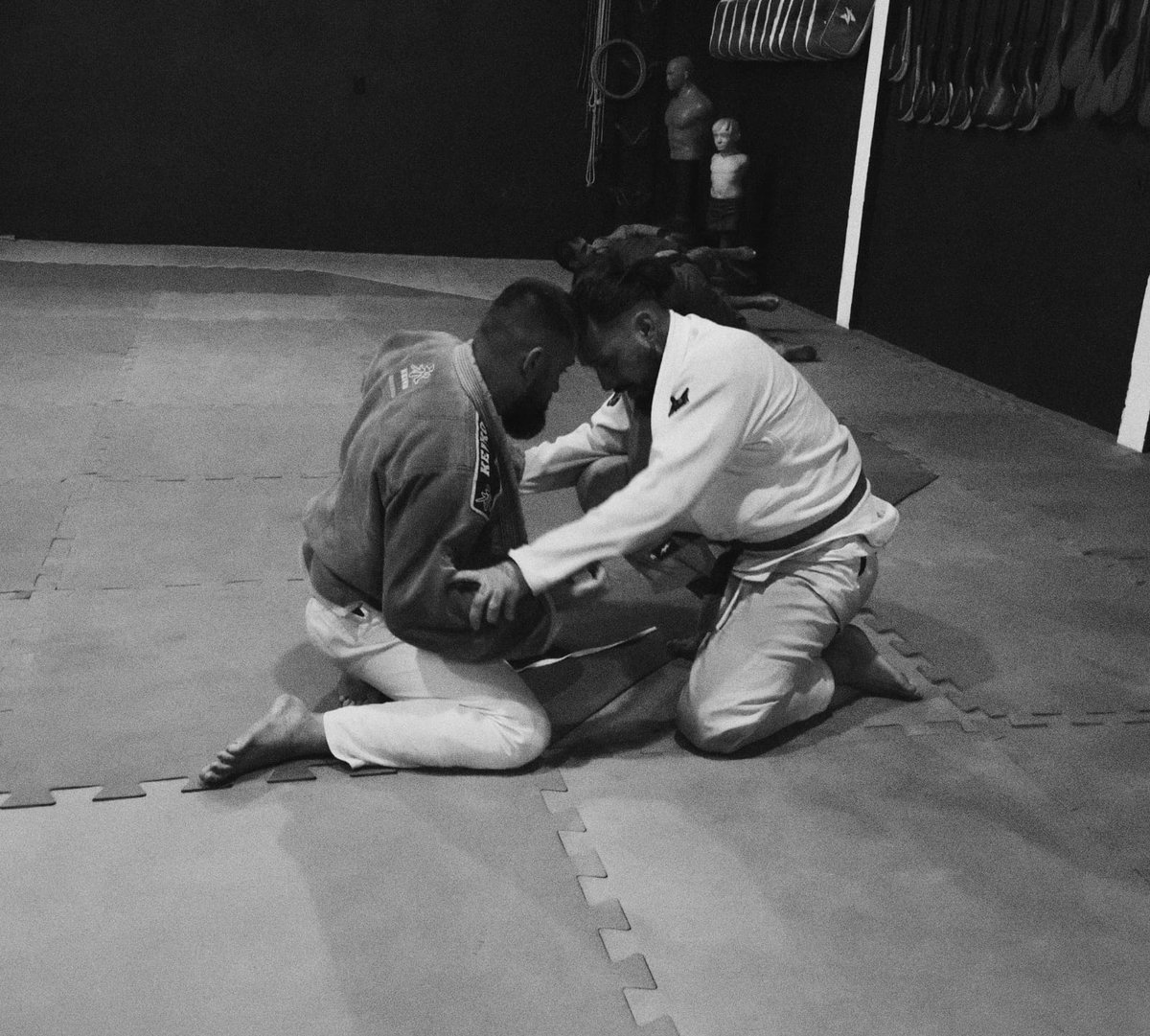 Entre a força e a técnica, vence a técnica. Se a força e a técnica forem iguais, vence o Espírito.

Miyamoto Musashi

#JiuJitsu  #miyamotomusashi #MMATwitter