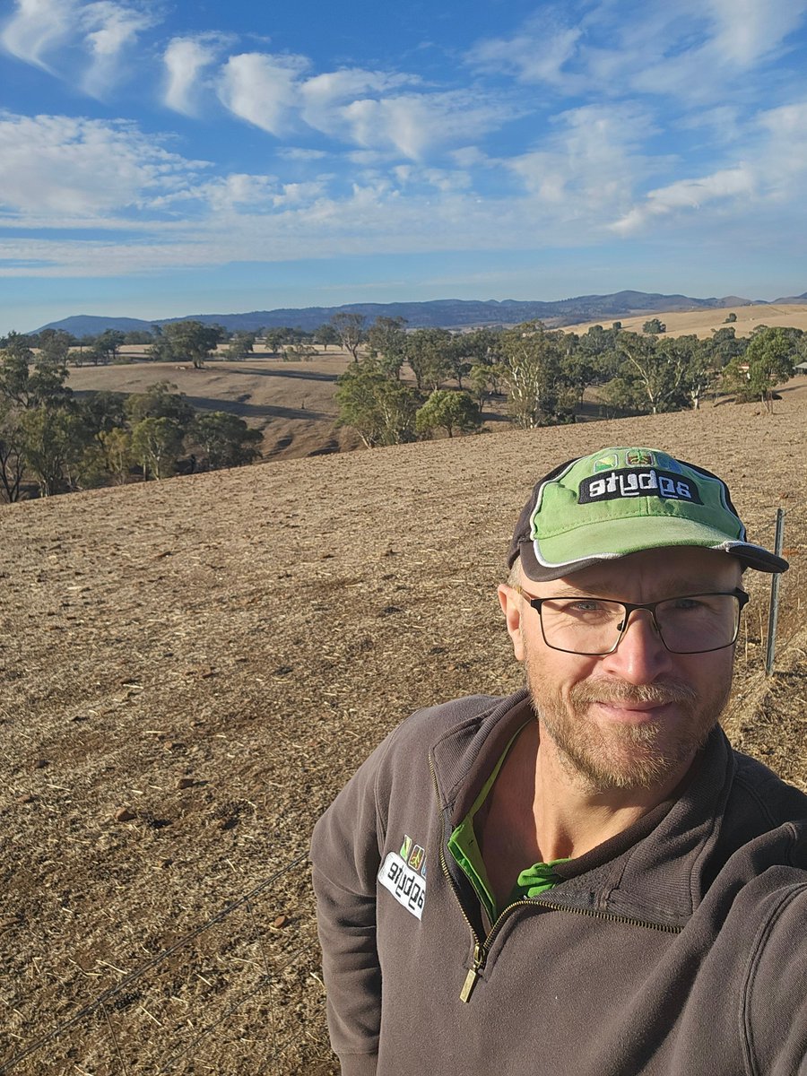 Leighton Wilksch tweet media