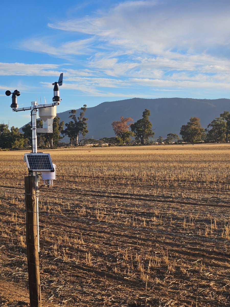 Leighton Wilksch tweet media