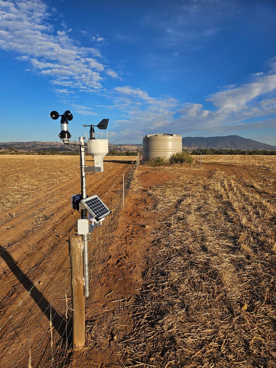 Leighton Wilksch tweet media