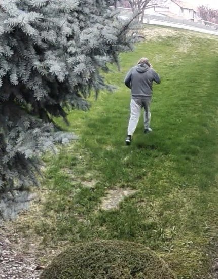 Kennewick Police tweet media