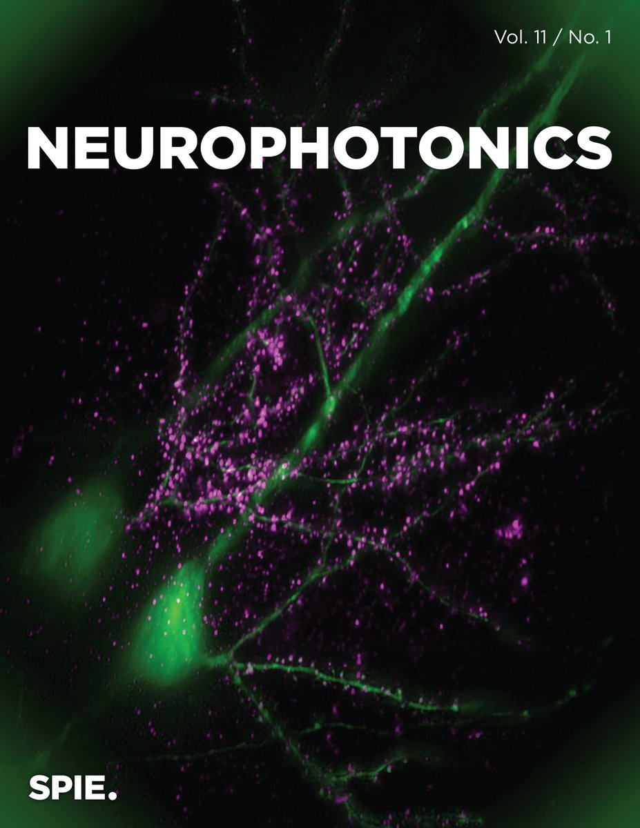 Can't get enough of Neurophotonics? Learn more about Frontiers in Neurophotonics Symposium and Summer School tinyurl.com/4nsbbmjz and check out our new cover. Ahh... pretty! #Neurophotonics #Neuroscience #OpticalImaging #Microscopy