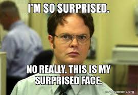 animordle tweet media