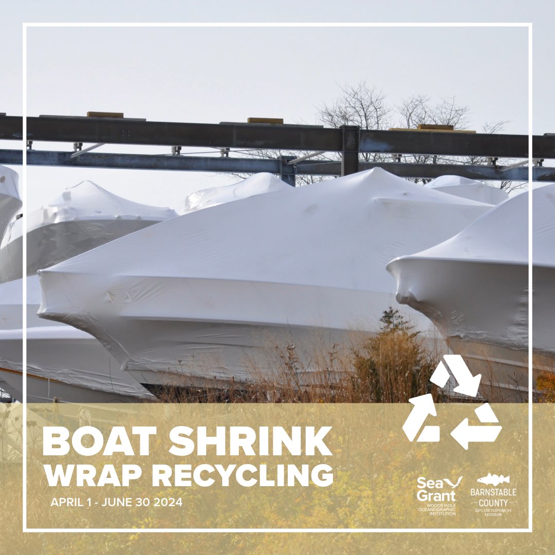 Cape Cod boaters and marinas can bring CLEAN shrink wrap (free of plastic strapping, ropes, vents, etc.) to any of 5 locations April 1 through June 30! Instructions: seagrant.whoi.edu/shrinkwrap @capecodgov @TownofChathamMA @CapeWellfleet @FalmouthChamber @WHOI @SeaGrant