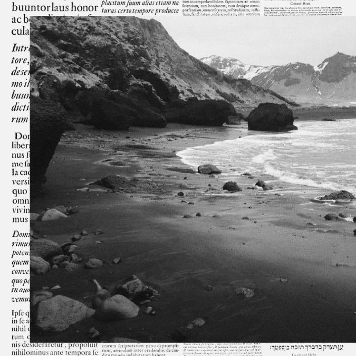 controdicting's tweet image. 