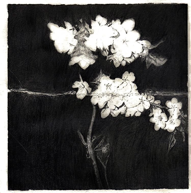 controdicting's tweet image. 