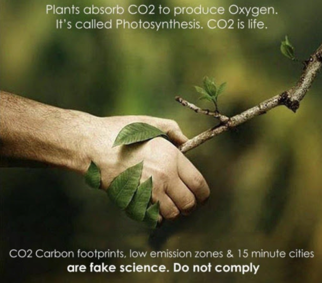 Plants absorb CO2 to produce Oxygen. It's called Photosynthesis. CO2 is life.