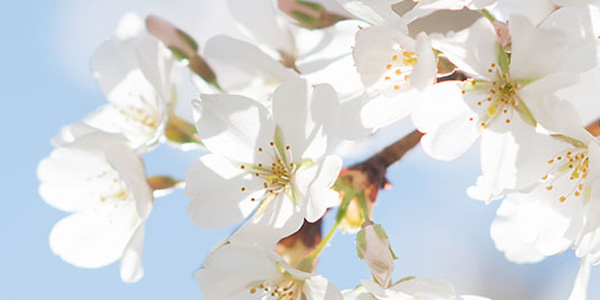 In April, UW SPH will host school-wide events to help students learn about careers in #PublicHealth for National Public Health Week. Students can hear from alumni, have their resumes reviewed, and attend events across the School’s centers & departments: sph.washington.edu/news-events/sp…