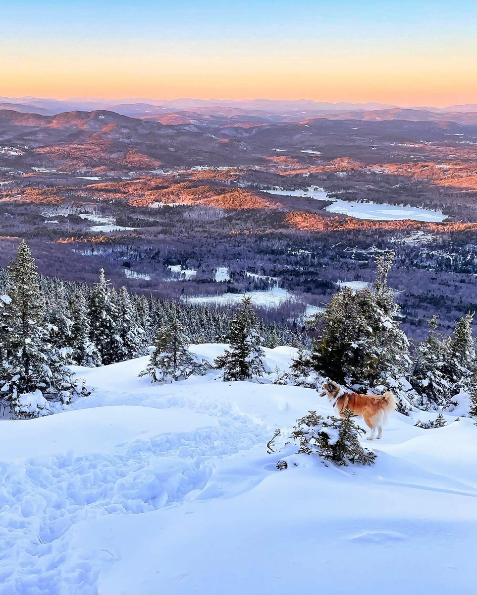 Views on views in NH #DiscoverYourNew PC: @alfie_hikes