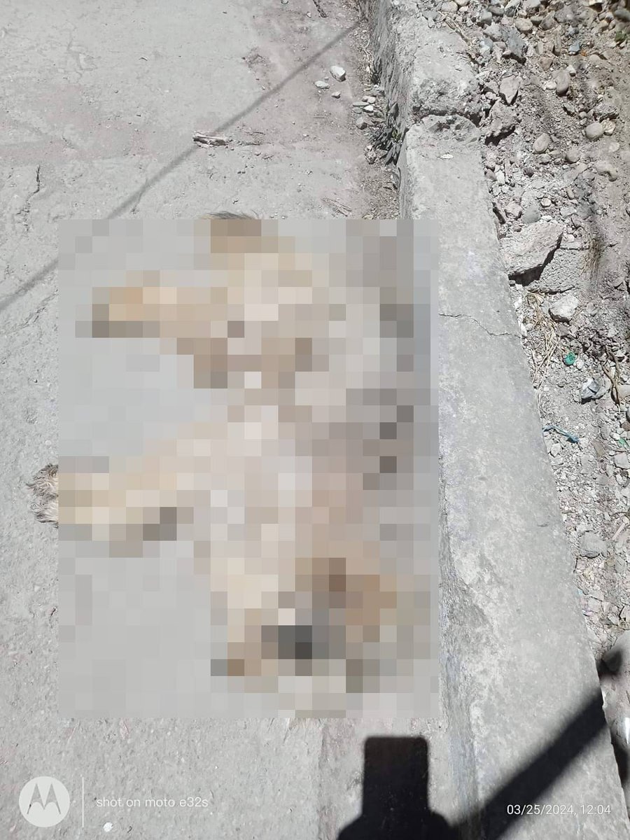 ELPINERO's tweet photo. #FOTOREPORTE 📸 | #Oaxaca: Denuncian envenenamiento masivo de perros en #Chicahuaxtla

Ciudadanos denunciaron a la autoridad auxiliar de la agencia municipal #SanAndrés #Chicahuaxtla, Putla Villa de Guerrero, región #SierraSur, por caso de maltrato animal, al realizar envenenamiento masivo de perros, exigen intervención de las autoridades competentes.