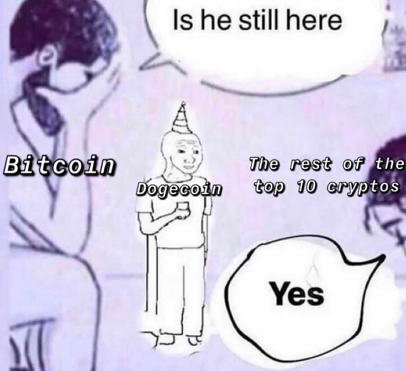 dogeofficialceo's tweet image. 