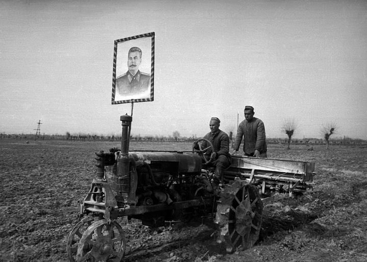 MaoistGorilla's tweet photo. https://t.co/eg5B8QPxdw