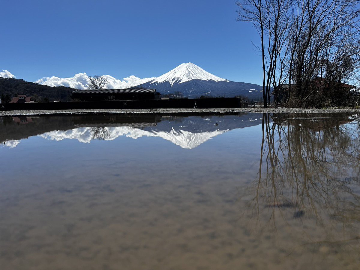 ※固定ポスト削除してしまいました🙇‍♂️
今週末から始まる富士・河口湖さくら祭りですが、3月27日現在桜はまだ蕾の状態です。
今後開花状況をポストしますのでよろしくお願いします🌸
写真は富士山が綺麗だった昨日の画像です。
駐車場の水たまりには逆さ富士も🗻
#富士河口湖
#さくら
#桜
#富士山