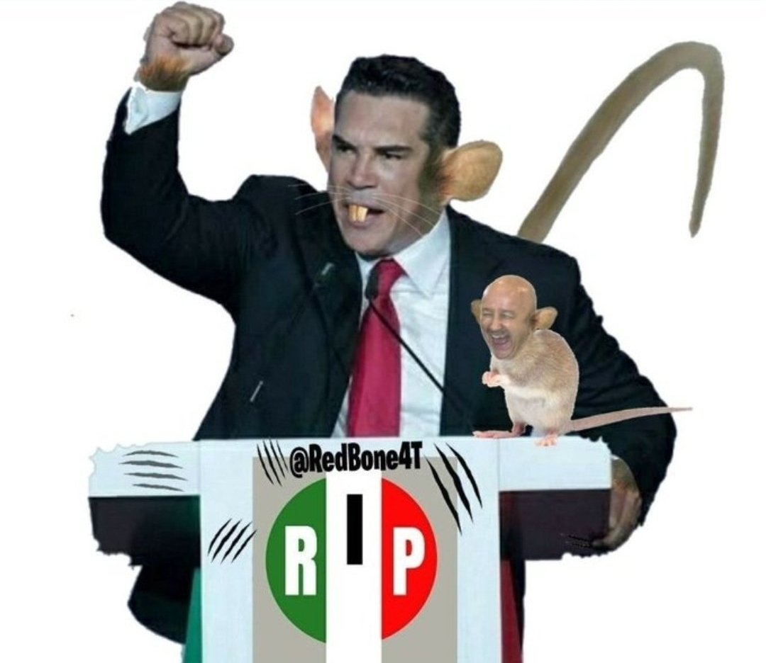 JorgeJoaqunoli2's tweet photo. La Sra. @XochitlGalvez es la #CANDIDOTA de la CORRUPTA #OposicionMasPendejaQueHaExistido.
š¤£š¤£š¤£š¤£š¤£š¤£š¤£š¤£š¤£š¤£š¤£š¤£š¤£ https://t.co/Tssqt2gjLi