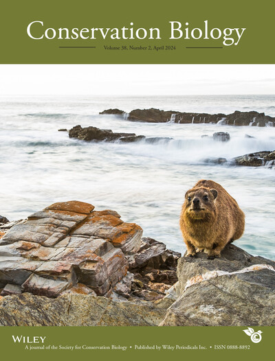 🌟Are you ready for some news that #rocks?!🌟 Volume 38, Number 2 of #ConservationBiology is now available online, featuring a #RockHyrax on the cover! 🌊You can find it at doi.org/10.1111/cobi.1… #conservation #science #scientificjournal #newrelease