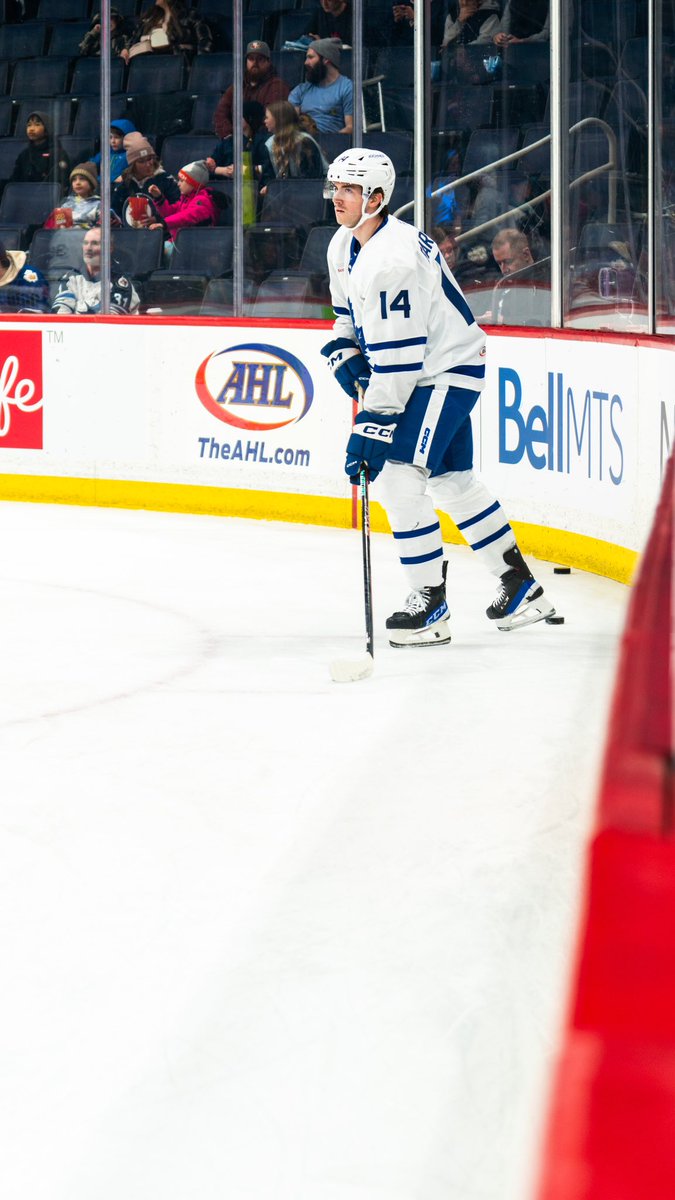 TorontoMarlies's tweet photo. AHL Debut incoming 🔜 https://t.co/rvBugQZdjE