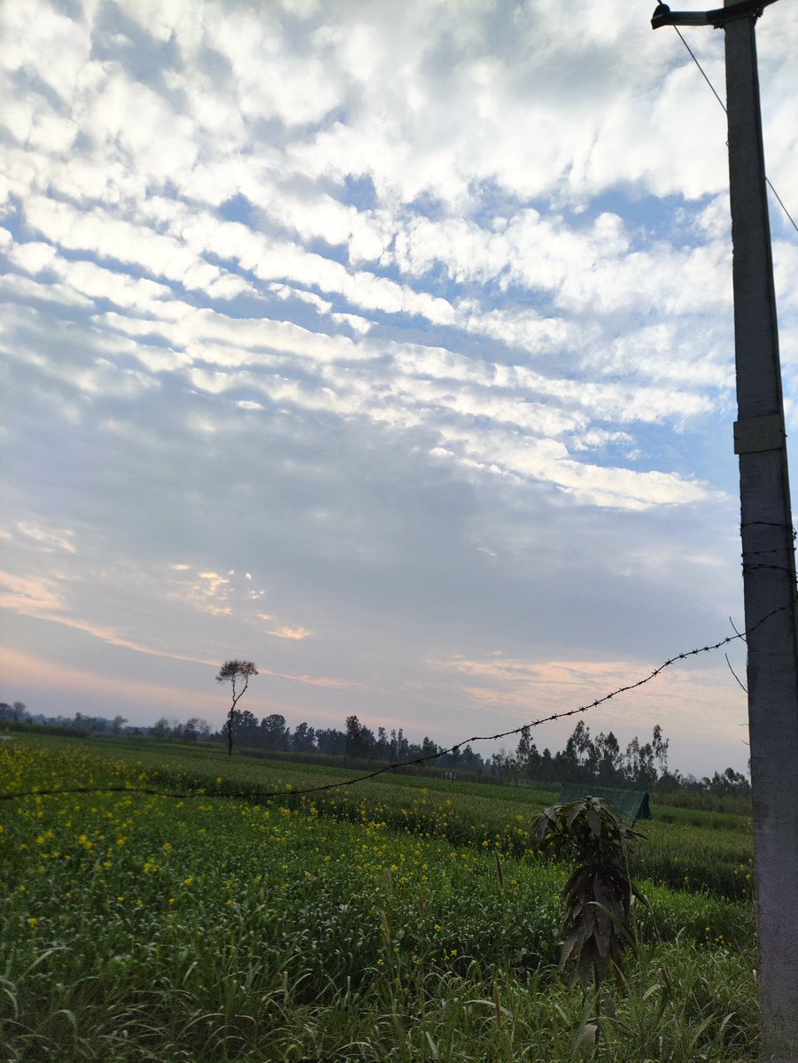 #Village #Clouds #NaturePhotography #landscapephotography
#SimpleLife #Sober ~गांव ❤️