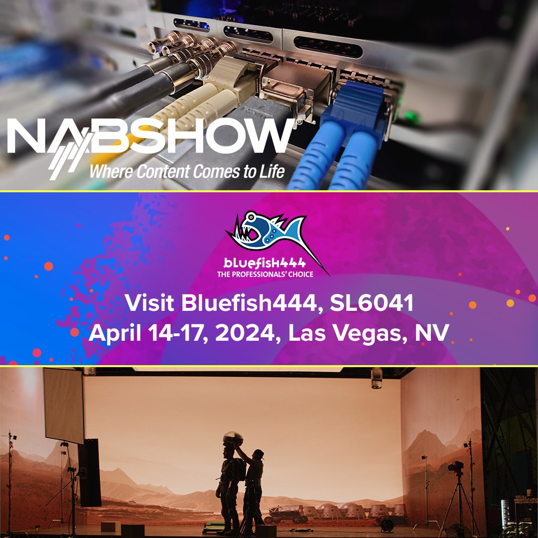 Bluefish444 tweet media