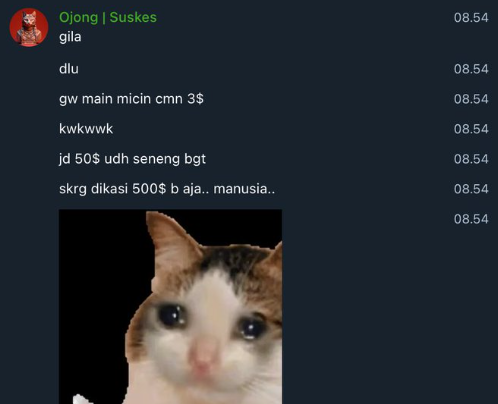 minazuki_ame's tweet photo. Kenapa profit 500$ terasa kecil 
sedang loss Rp 2.000.000 terasa besar?

Karna otak kita sudah melalui proses mental disassociation, karena pakai currency usdt dan merasa bahwa nominal usdt lebih rendah dibanding rupiah otomatis orang ngerasa itu kecil. https://t.co/6Exl1KEQaO
