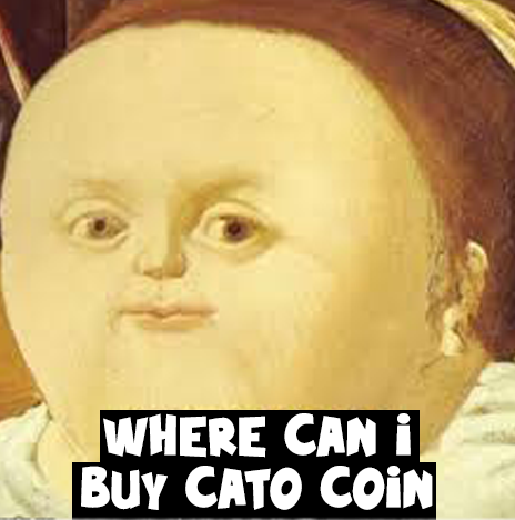 solana_cato's tweet photo. threadoor checks out and leaves tg and ca for you guys to come and check out cato which is a really cool gato but also a cat at the same time.

peace.

ca: AYFrik7wqDCoc6YAYE3NkaU8yuEsCWRhgWskiibyFQwh

tg: https://t.co/fdZG55Gjsy

tg: https://t.co/G2FDT2wwU0