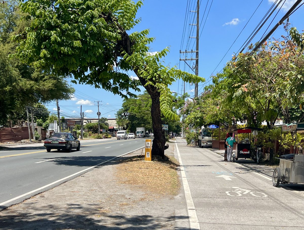 iracruz's tweet photo. Class 1 bike lanes along MacArthur Highway in Pampanga - a product of community action to preserve age-old trees and opposing a six-lane highway. https://t.co/0y9ejLj81T