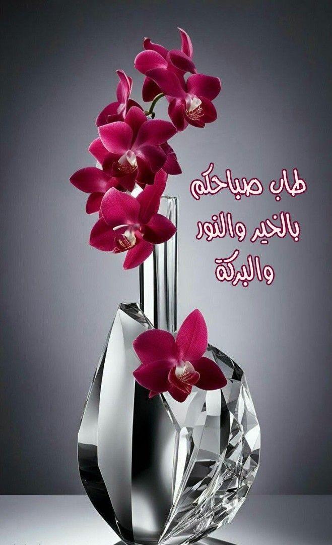 Charbel Bouti (@bouticharbel) on Twitter photo 