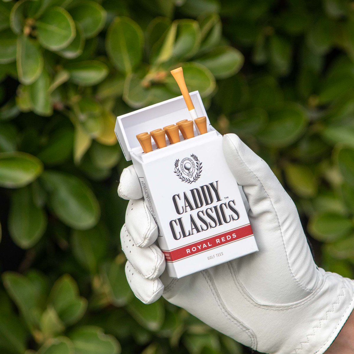 Caddy Classics (@caddyclassics) / Posts / X